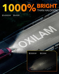 OXILAM 9005 LED bulbs 6500K cool white for sharp contrast