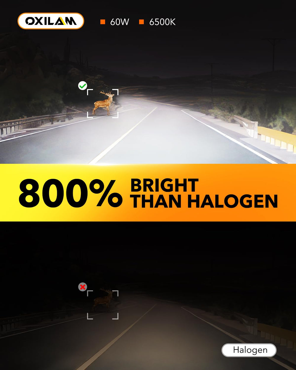 OXILAM H11 bulbs during installation showing plug-and-play ease.