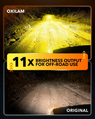 OXILAM H16 amber fog light beam improves fog visibility in rain.