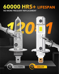 OXILAM H1/H1LL LED bulbs provide wide road coverage for better edge visibility.