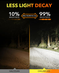 OXILAM M5S H7 set of 2 provides a complete dual-beam upgrade.