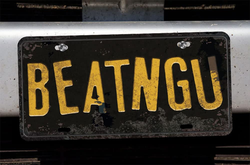 Panguru license plate size 6x12 inches for authentic scale.
