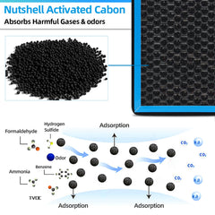 Parfyter filter shows PM2.5 and dust absorption capability