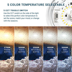 Parmida RV dome light damp-location rated for moist, dependable use.