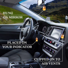 Premium packaging reinforces Perfa One Million as a premium car fragrance.