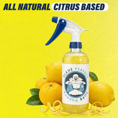 Plane Perfect Buddha Belly interior cleaning in aircraft cabin using citrus degreaser