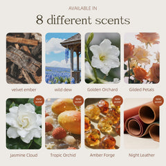 POMOA closet or small-space use, versatile wood diffuser for scent