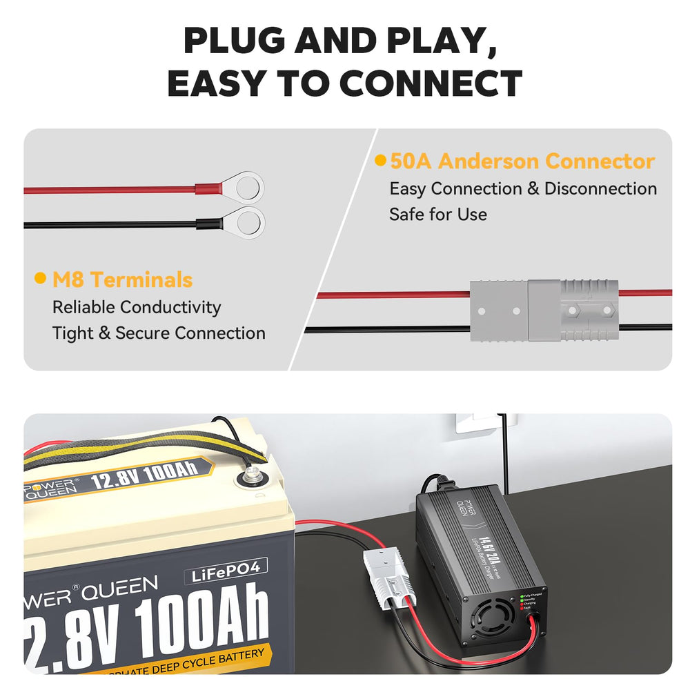 Power Queen charger side view highlighting compact design and access.