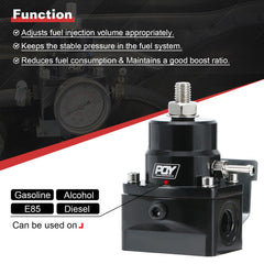 PQY 6AN feed port illustration highlighting robust feed connection for fuel lines in performance builds.