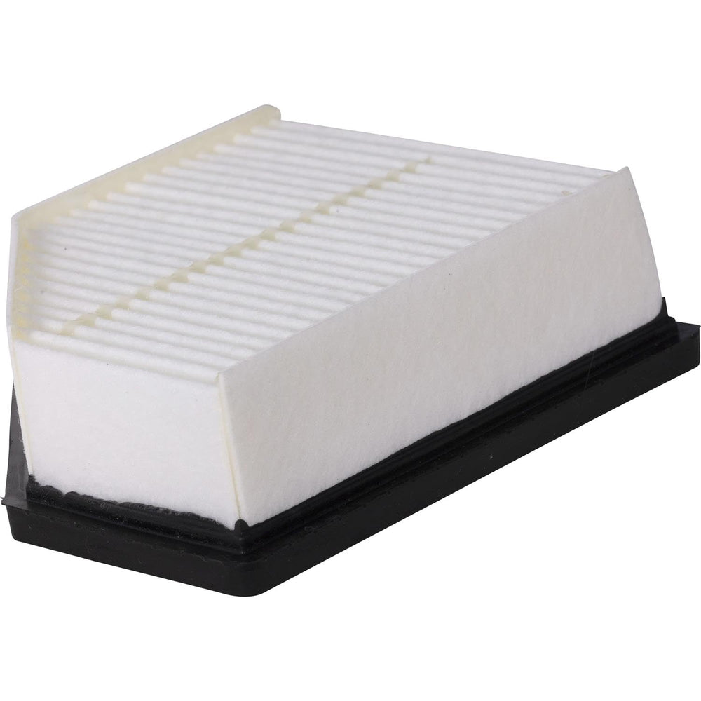 Dust-protection close-up of Premium Guard PG engine air filter highlights dust resistance.