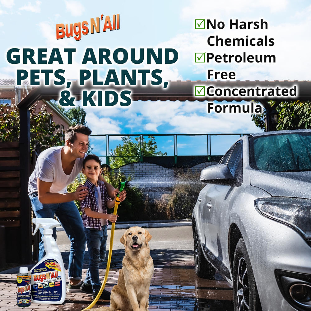 PROSOL WORKS Bugs N’ All on-car-paint safe cleaning in action.