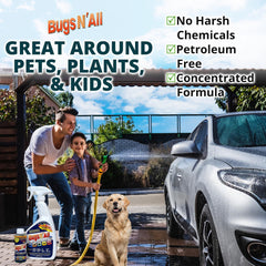 PROSOL WORKS Bugs N’ All on-car-paint safe cleaning in action.