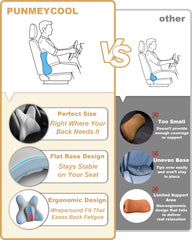 PUNMEYCOOL lumbar support shown compatible with car seats and chairs