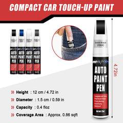 Warm customer support helps resolve any paint concerns for Tesla owners.