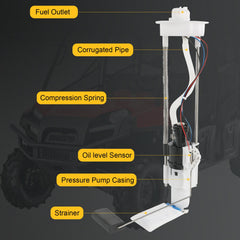 RALZAOTO packaging and warranty card underscoring confidence and support.