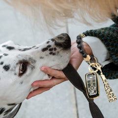 RFSRZ gift-ready key fob set ideal for Ford owners.