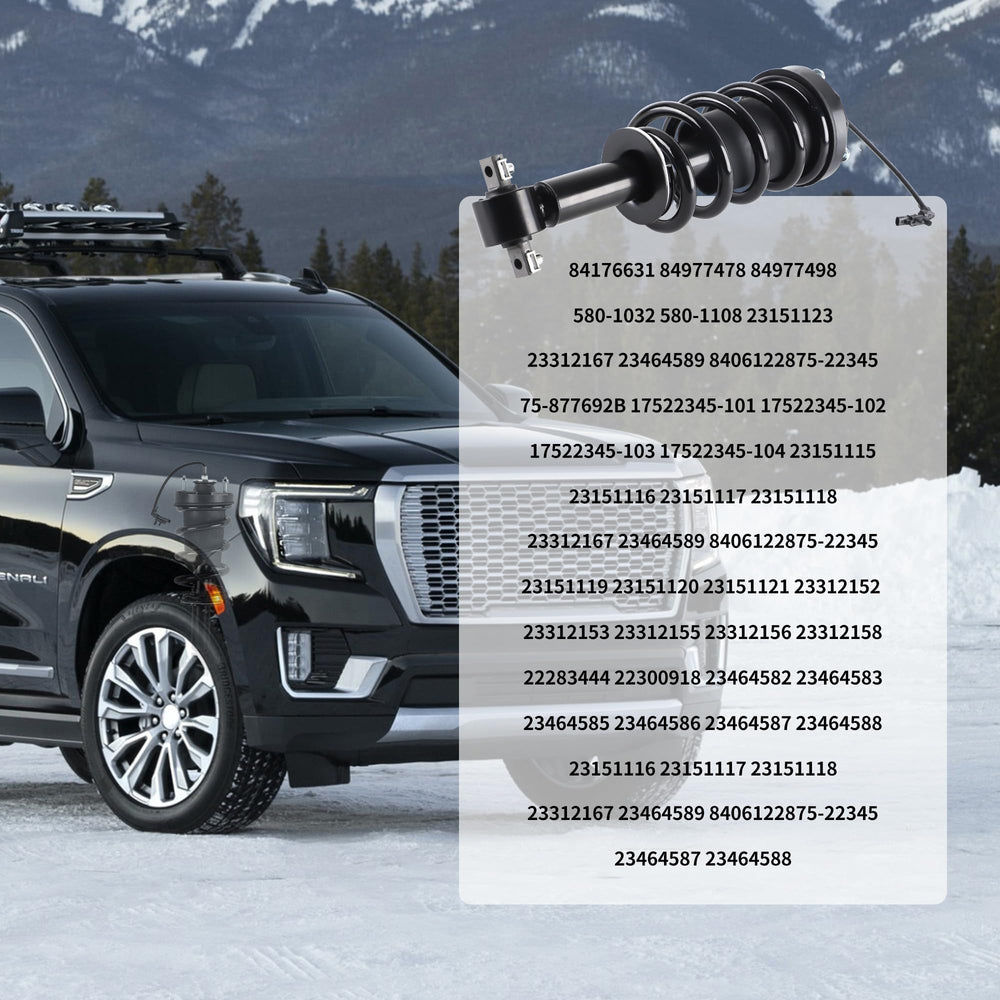 Richeer GM-original-like performance suggests damping behavior compatible with GM suspension.