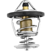 RICHWEI engine thermostat for Chevy Avalanche 5.3L V8 — durable direct replacement.