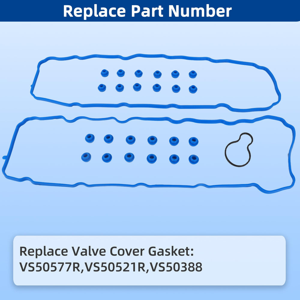RICHWEI VS50577R Grand Cherokee 4-7L gasket close up for fit