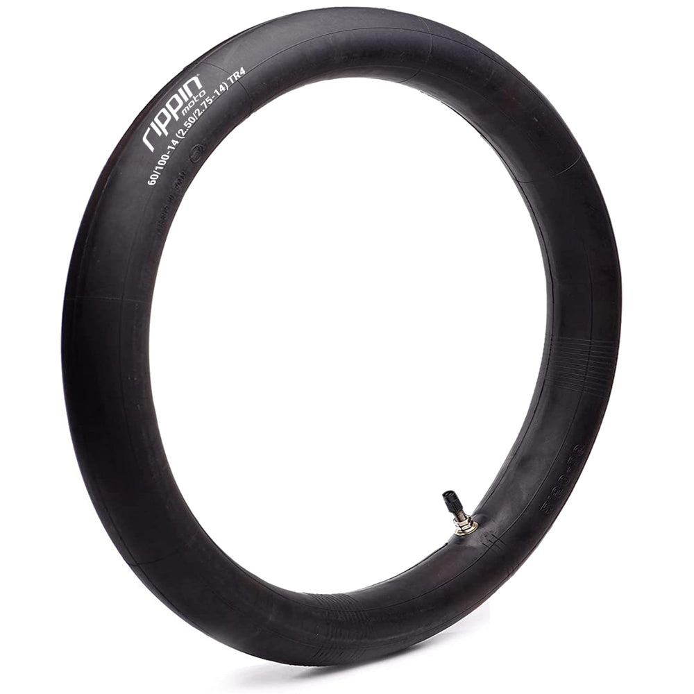 Rippin Moto QR-based 6-month replacement warranty.