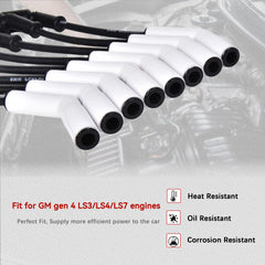 RLP Stainless steel terminals for durable spark delivery