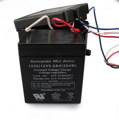 Rnigs 12V storage battery 5Ah included for reliable power