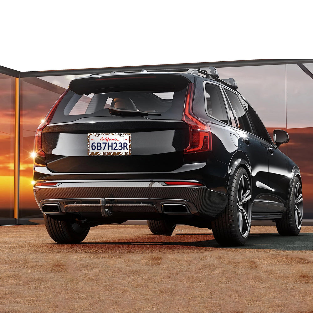 RTINRAN unique-pattern license frame elevates car aesthetics with character.