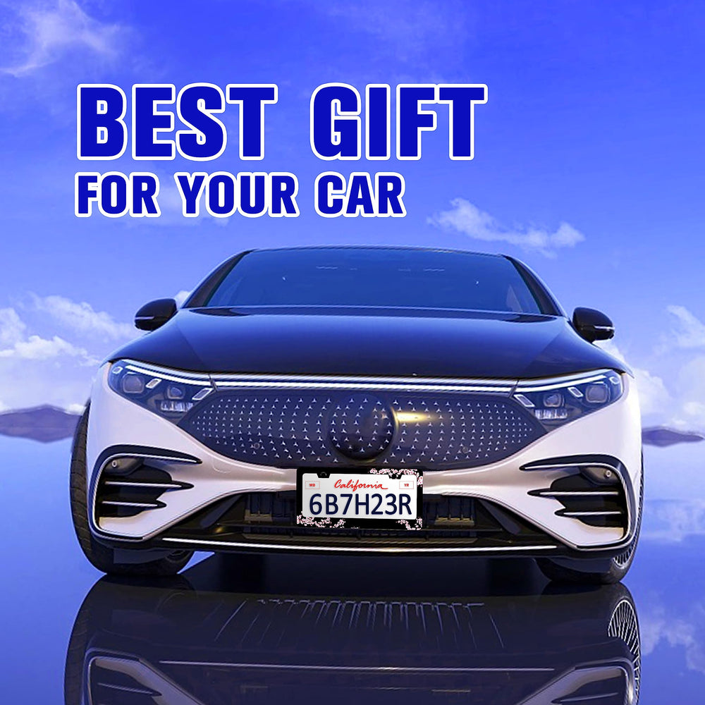 RTINRAN US standard plate frame 6x12 inch compatibility demonstrated.