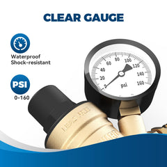 RVGUARD factory setting at 45 psi shown on the regulator gauge.
