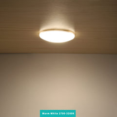 RVZONE pack of 5 offers ready-to-install lighting for full RV or boat projects.