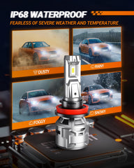 SEALIGHT 9005 H11 bulbs plug-and-play installation ready
