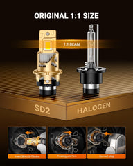 SEALIGHT D2S starts in 0.01 seconds for immediate brightness