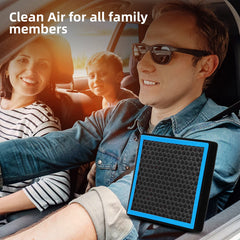 SEINECA CF10374 honeycomb purification system distributes carbon for adsorption.