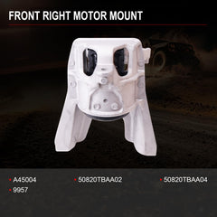 Sherxibo Civic 2.0L engine mount compatible with automatic CVT