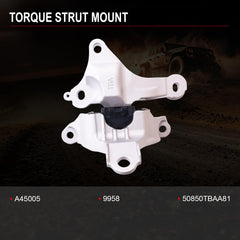 Sherxibo three piece mounting kit for Civic includes all mounts