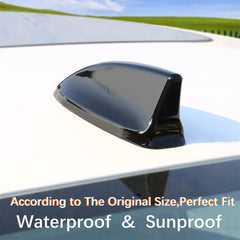 Smart RepairBoy rear-angle demonstrates durable, weather-resistant finish