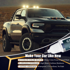 SNSIR two-in-one car paint pen and brush for Dodge Ram touch-ups
