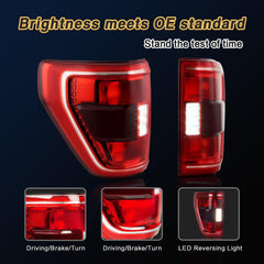 STRAUTOS left tail light supports reuse of original bulbs and harness.