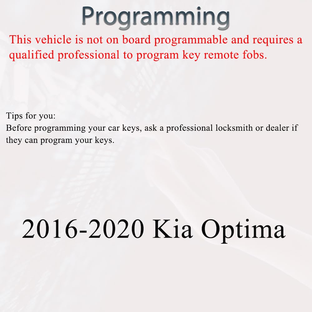 SUPALAND programming instructions help a professional set up the fob.