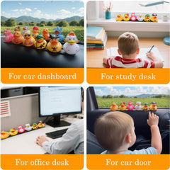 SWLOR package holds up to 12 ducks for displays