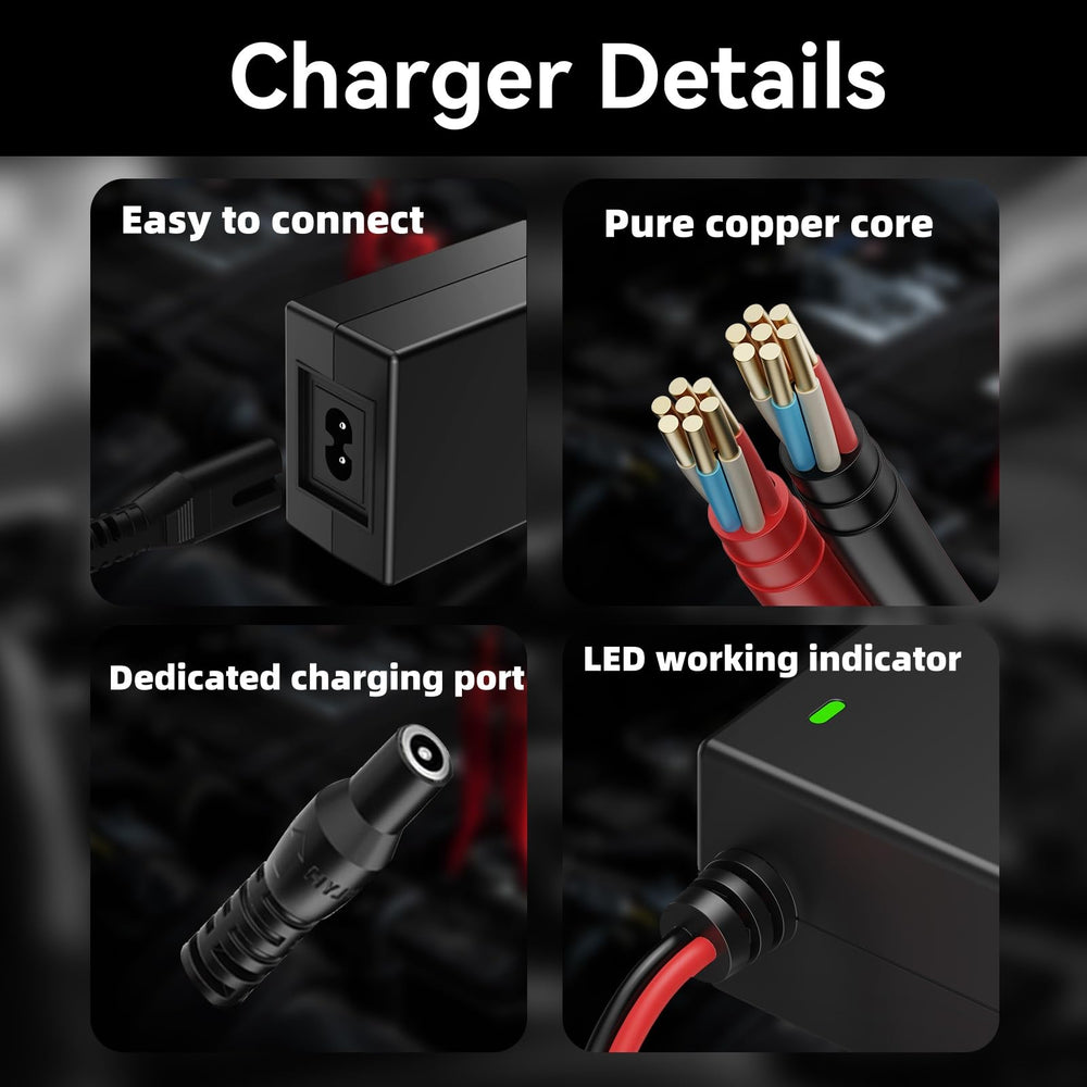 SYFLYH 14V 56W charger back panel showing safety features and ports