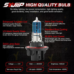 Package shows pair of high/low bulbs and fog light pair for Ford F-Series.