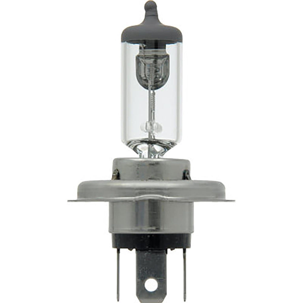 Sylvania 9003 Basic fog light bulb closeup for improved visibility.