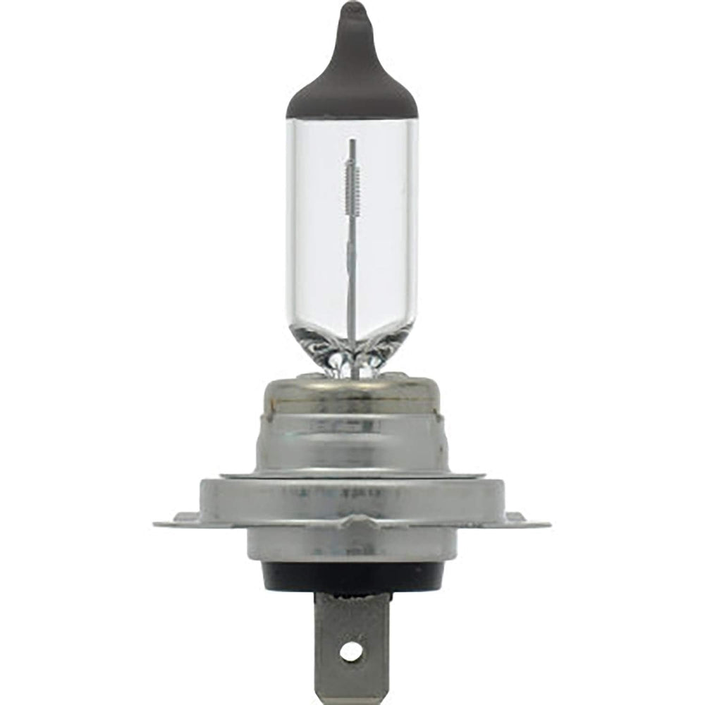 SYLVANIA H7 Basic bulb sourced from OEM-grade light source for reliability.