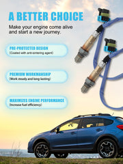 TAUTOY quality-verified sensors indicate OE-grade materials for dependable parts.