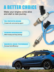 TAUTOY warranty badge and testing process signals quality assurance