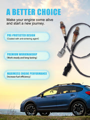 TAUTOY premium-performance sensor with stainless steel body for durable, long-lasting use.