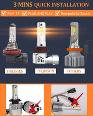 Tequison 9005 HB3 delivers bright night-drive performance for safer highway passage.