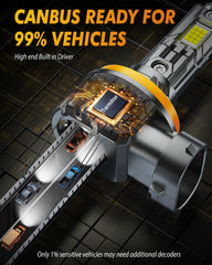 Termitor H11 LED bulbs offer up to 70,000 hours lifespan.