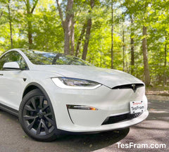 TesFram anti-theft locking system secures the plate